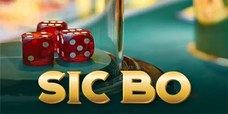 Bí quyết chơi tài xỉu live siêu tốc hiệu quả